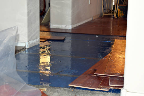 Professional Water Damage Restoration technician working in Kensal, ND